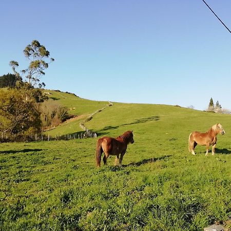 Agroturismo Pagoederraga โอรีโอ ภายนอก รูปภาพ